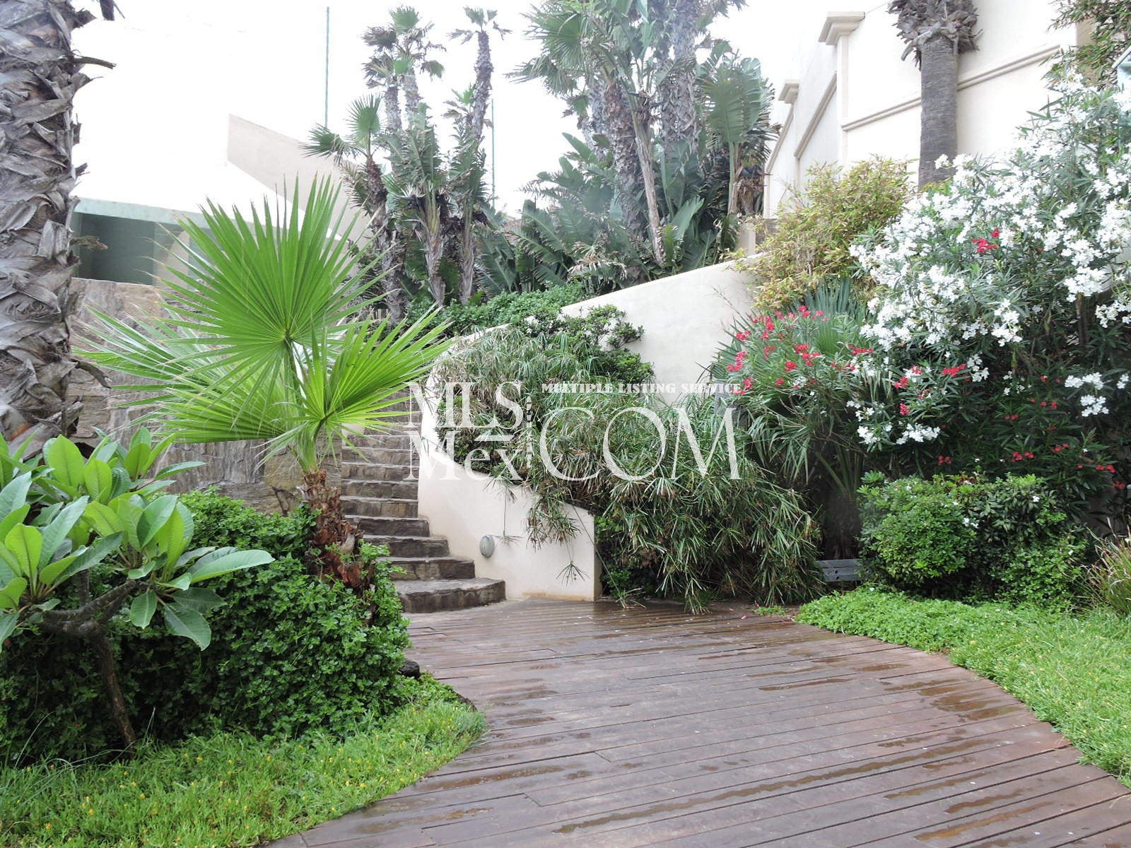Las Olas Grand Rosarito Real Estate