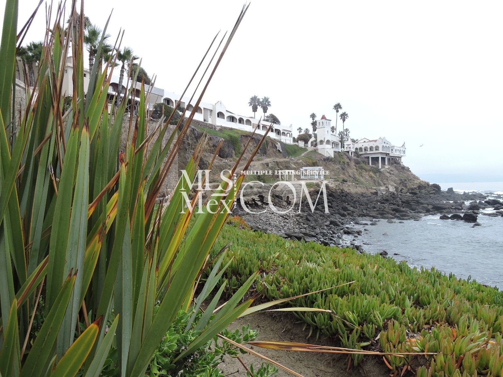 Las Olas Grand Rosarito Real Estate