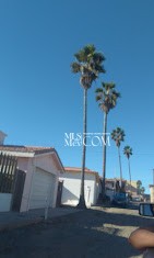 Baja Malibu Rosarito – Homes for Rent Near the Beach | Gated Coastal Community & Ocean Views