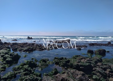 Las Olas 1 | Oceanfront Condos for Rent in Rosarito, Baja California