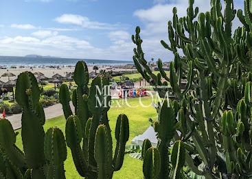 Rosarito Beach Hotel | Oceanfront Condos & Resort Living in Rosarito, Baja California