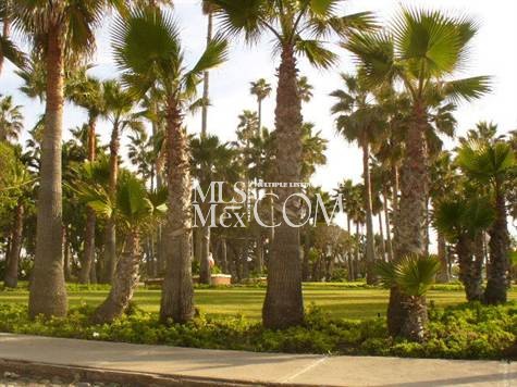 San Antonio del Mar | Coastal Homes & Condos for Rent in Tijuana, Baja California
