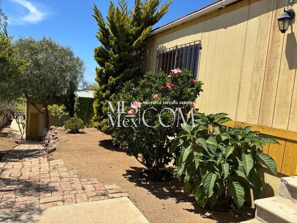 Affordable 2BR Ocean-View Home for Rent in Popotla, Rosarito ✨