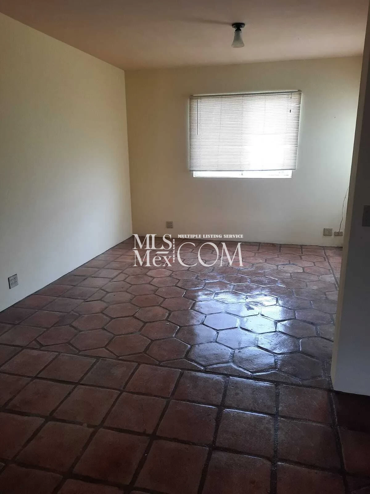 Furnished 3BR Home for Rent in Lienzo Charro, Rosarito • Spacious Yard • $1,000 USD