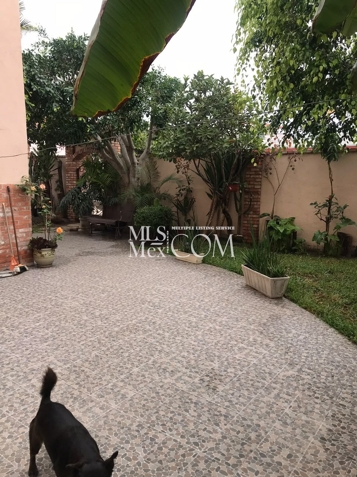 Fully Furnished 4-Bedroom Home for Rent in Rosarito | 2-Car Garage & Patio