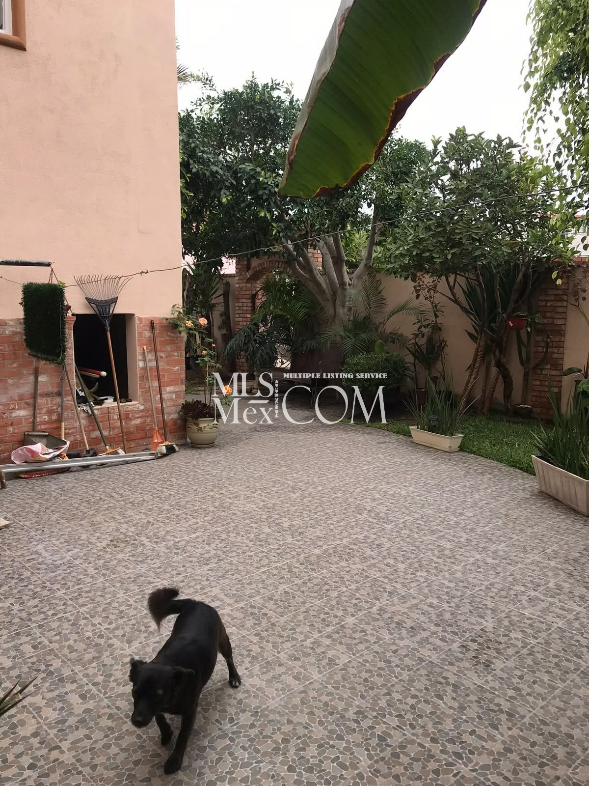 Fully Furnished 4-Bedroom Home for Rent in Rosarito | 2-Car Garage & Patio