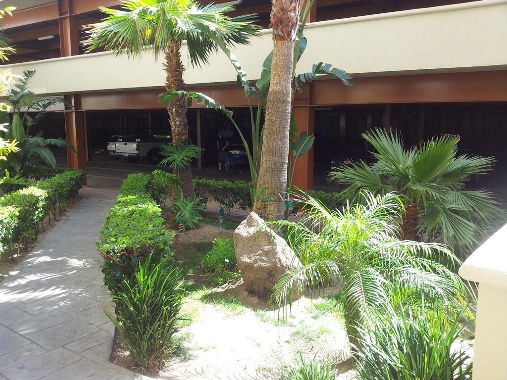 La Jolla del Mar Rosarito Real Estate