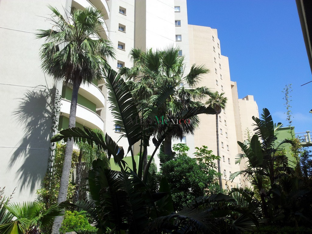 La Jolla del Mar Rosarito Real Estate